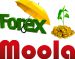forex-moola
