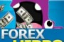 Forex Humanoid Review