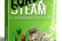 Forex Steam (Normal version) Review