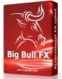 Big Bull FX Review